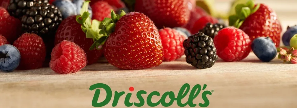 Controlled Temperature Storage