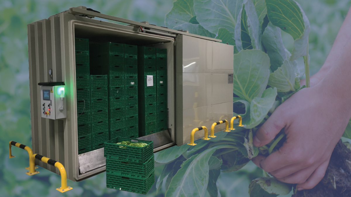 How Can Vacuum Coolers Benefit Your Fresh Produce Business?