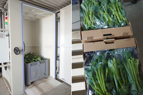 Vacuum Cooler Fresh Produce by Heuch Cooling solutions
